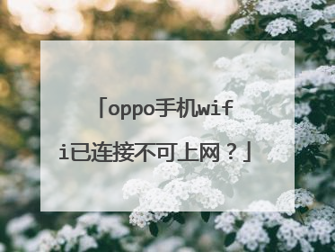 oppo手机wifi已连接不可上网？