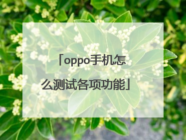 oppo手机怎么测试各项功能