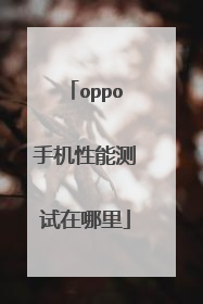 oppo手机性能测试在哪里