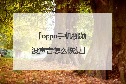 oppo手机视频没声音怎么恢复