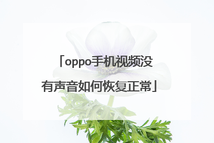oppo手机视频没有声音如何恢复正常
