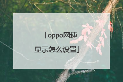 oppo网速显示怎么设置
