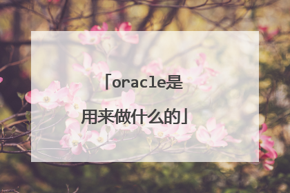 oracle是用来做什么的