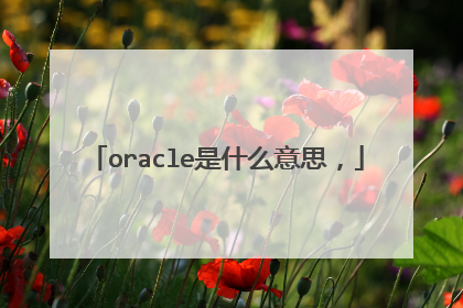 oracle是什么意思，