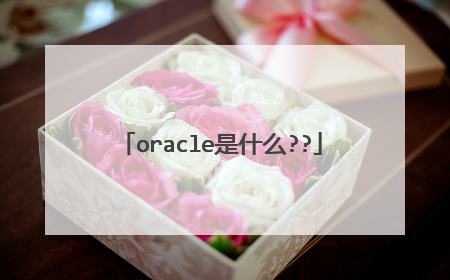 oracle是什么??