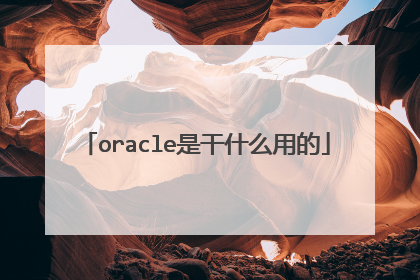 oracle是干什么用的