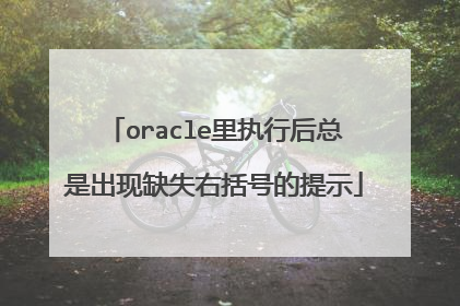 oracle里执行后总是出现缺失右括号的提示