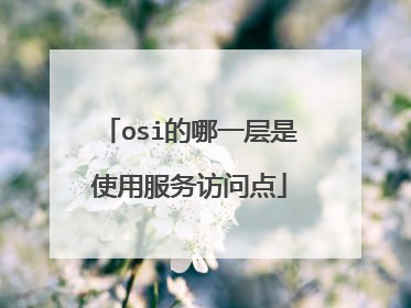 osi的哪一层是使用服务访问点