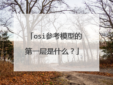 osi参考模型的第一层是什么？