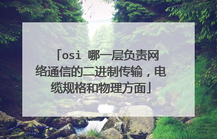 osi 哪一层负责网络通信的二进制传输，电缆规格和物理方面