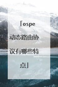 ospe动态路由协议有哪些特点