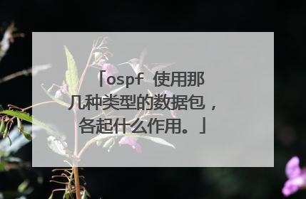 ospf 使用那几种类型的数据包,各起什么作用。