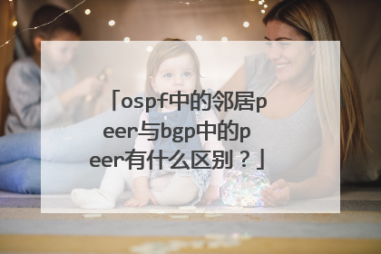 ospf中的邻居peer与bgp中的peer有什么区别？