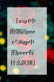 ospf中的邻居peer与bgp中的peer有什么区别
