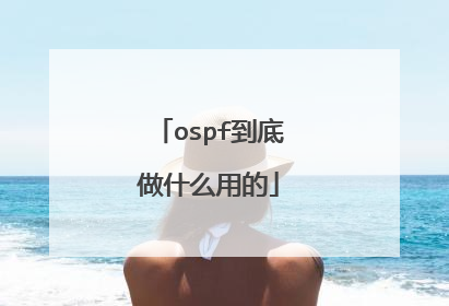 ospf到底做什么用的