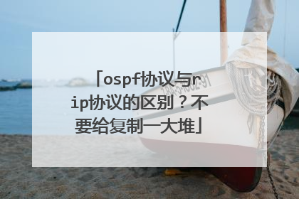 ospf协议与rip协议的区别？不要给复制一大堆