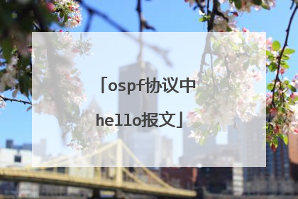 ospf协议中hello报文