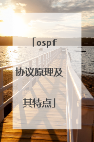 ospf协议原理及其特点