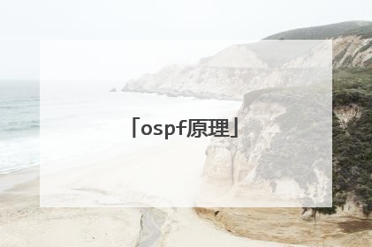 ospf原理