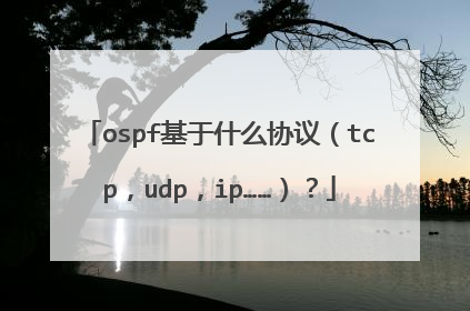ospf基于什么协议（tcp，udp，ip……）？