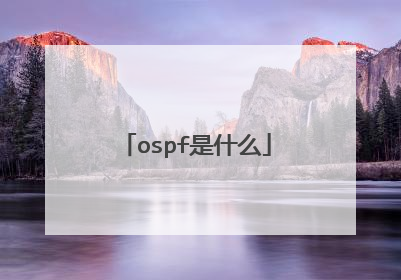 ospf是什么