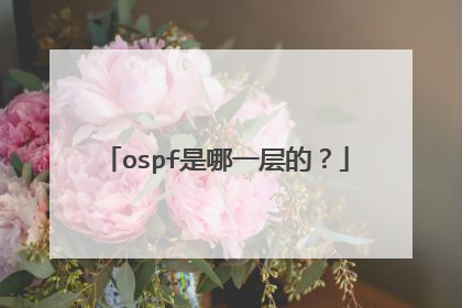 ospf是哪一层的？