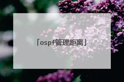ospf管理距离