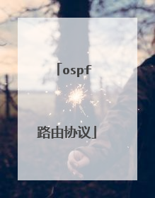 ospf路由协议