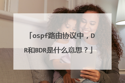 ospf路由协议中，DR和BDR是什么意思？