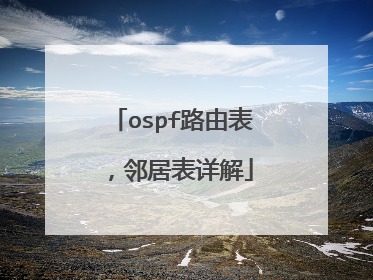 ospf路由表，邻居表详解