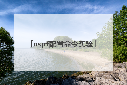 ospf配置命令实验