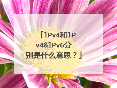 lPv4和lPv4&lPv6分别是什么意思？