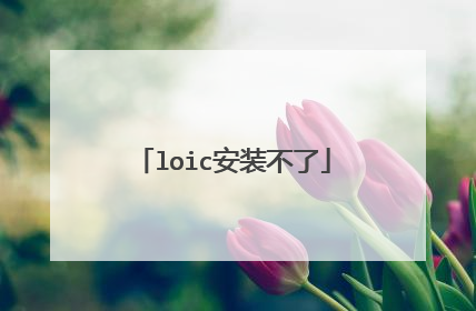 loic安装不了