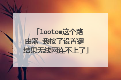 lootom这个路由器 我按了设置键 结果无线网连不上了