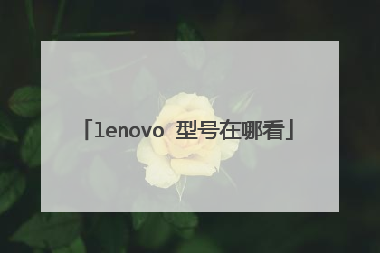 lenovo 型号在哪看