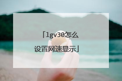 lgv30怎么设置网速显示