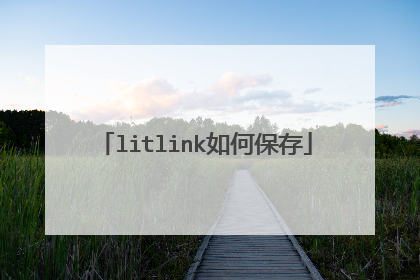 litlink如何保存