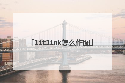litlink怎么作图