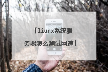 liunx系统服务器怎么测试网速