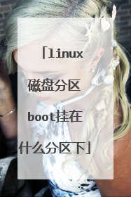 linux 磁盘分区 boot挂在什么分区下