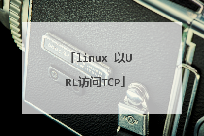 linux 以URL访问TCP