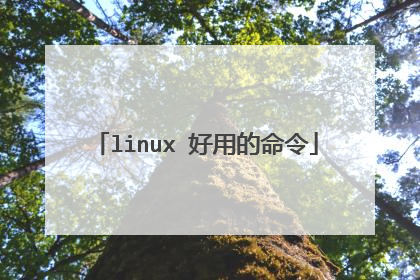 linux 好用的命令