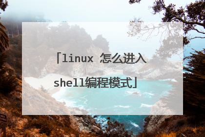 linux 怎么进入shell编程模式