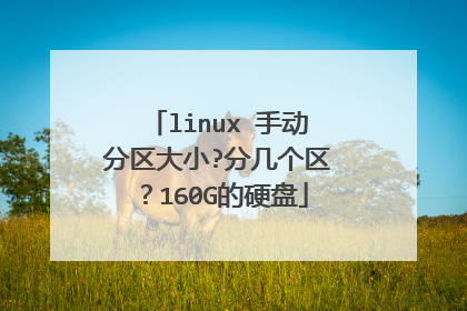linux 手动分区大小?分几个区？160G的硬盘