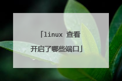 linux 查看开启了哪些端口