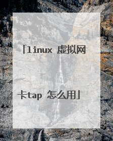 linux 虚拟网卡tap 怎么用