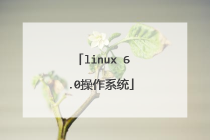linux 6 .0操作系统