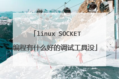 linux SOCKET 编程有什么好的调试工具没
