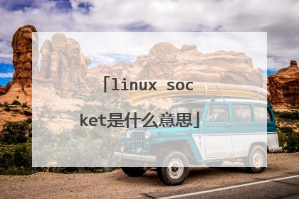 linux socket是什么意思
