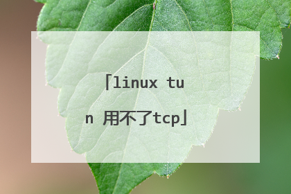 linux tun 用不了tcp